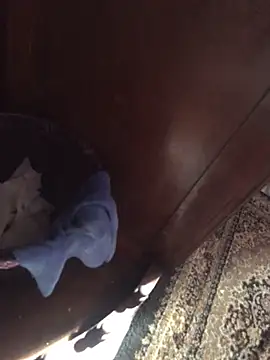 Snapshot of TangoingSorbet chatting on 11.02.25 TangoingSorbet online show from 11.02.25