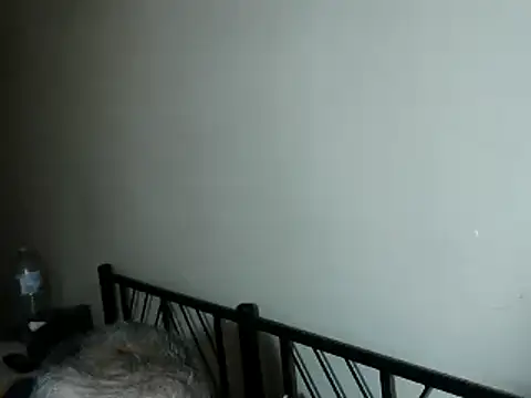 Snapshot of 100Tauros chatting on 11.02.25 100Tauros online show from 11.02.25