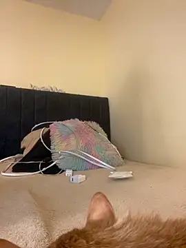 Snapshot of liaqueen610 chatting on 11.13.25 liaqueen610 online show from 11.13.25