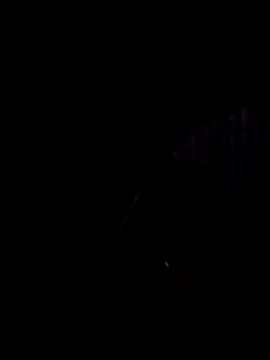 StaciGoodman online show from 02.01.25