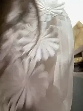 Efangfang online show from 02.16.25