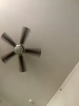 goldbuni online show from 12.03.24