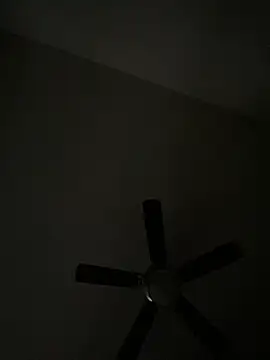 goldbuni online show from 12.08.24