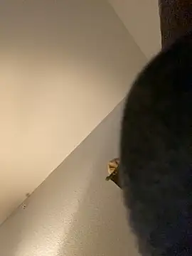 goldbuni online show from 12.30.24