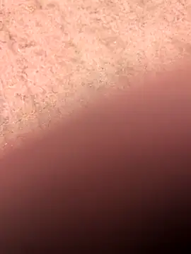 klownman1 online show from 03.01.25