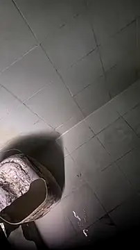 Snapshot of mendelicius chatting on 04.02.26 mendelicius online show from 04.02.26