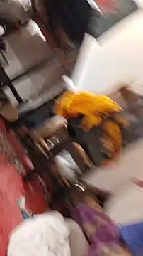 Snapshot of emma_neko chatting on 11.22.25 emma neko online show from 11.22.25