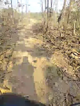 88karan88 online show from 12.25.24