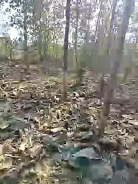 88karan88 online show from 12.27.24