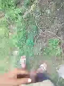 88karan88 online show from 01.20.25