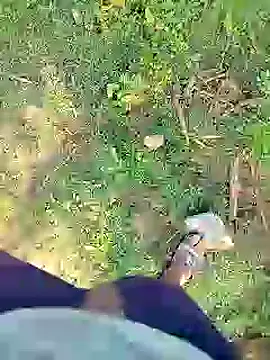 88karan88 online show from 01.23.25