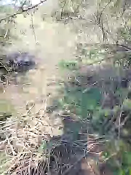 88karan88 online show from 01.25.25