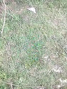 88karan88 online show from 02.23.25