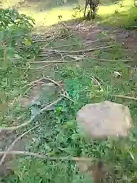 88karan88 online show from 02.24.25