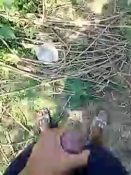 88karan88 online show from 02.25.25