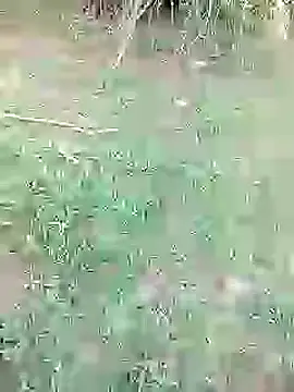 88karan88 online show from 02.26.25