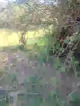 88karan88 online show from 02.27.25