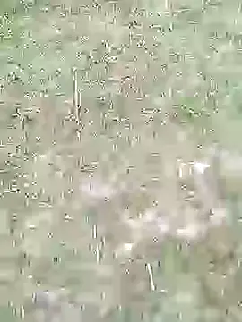 88karan88 online show from 02.27.25