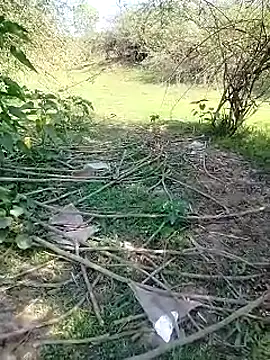 88karan88 online show from 03.03.25