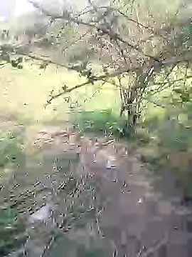 88karan88 online show from 03.04.25