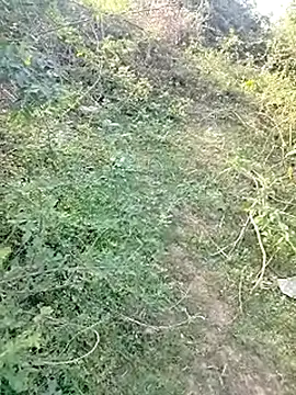 88karan88 online show from 03.04.25