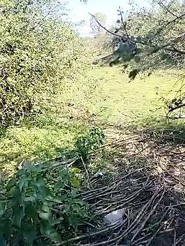 88karan88 online show from 03.07.25