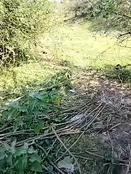 88karan88 online show from 03.11.25