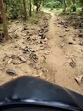 88karan88 online show from 10.29.25