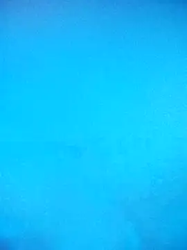 Snapshot of skrigul12 chatting on 02.14.26 skrigul12 online show from 02.14.26