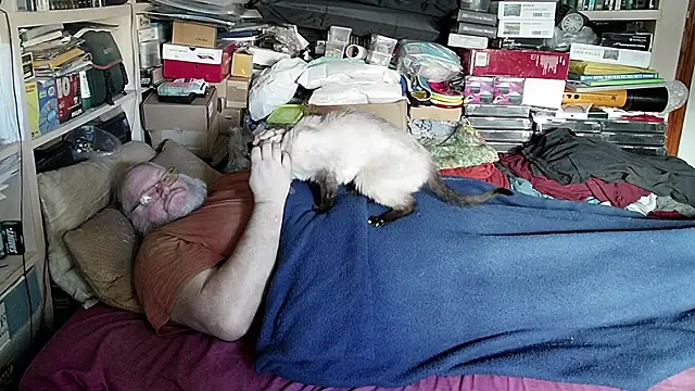 hadeszeuss2 online show from 12.12.24