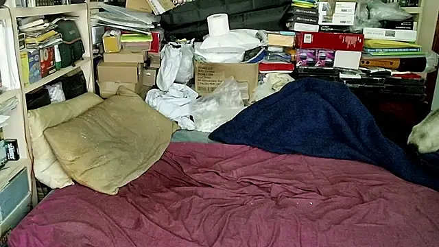 hadeszeuss2 online show from 01.03.25