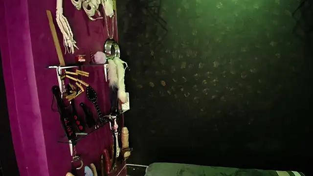 Snapshot of Alexa_Slave chatting on 01.25.25 Alexa Slave online show from 01.25.25