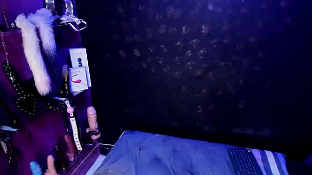 Snapshot of Alexa_Slave chatting on 02.25.25 Alexa Slave online show from 02.25.25