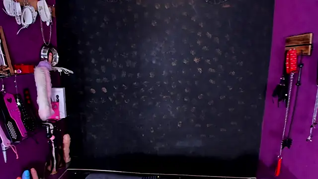 Snapshot of Alexa_Slave chatting on 09.16.25 Alexa Slave online show from 09.16.25