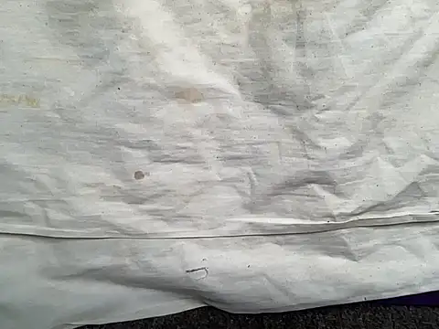 Snapshot of beforeyou69 chatting on 01.30.25 beforeyou69 online show from 01.30.25