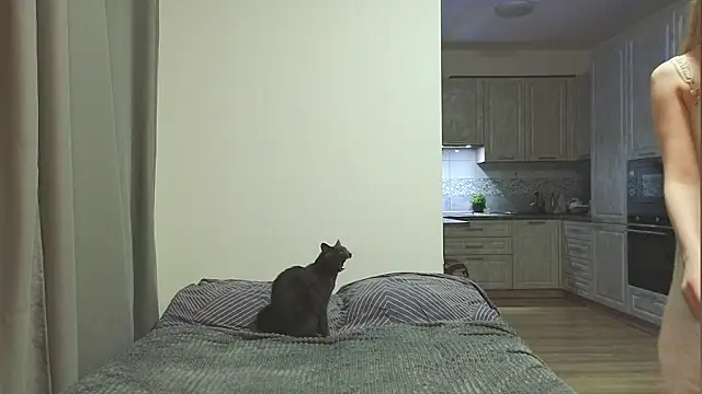 Snapshot of VikiSea chatting on 03.14.25 VikiSea online show from 03.14.25