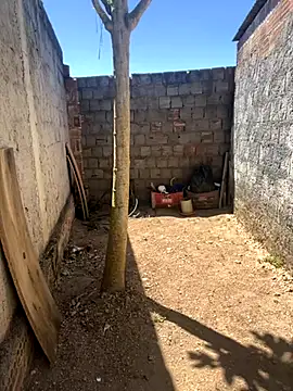 king cum  online show from 11.05.25