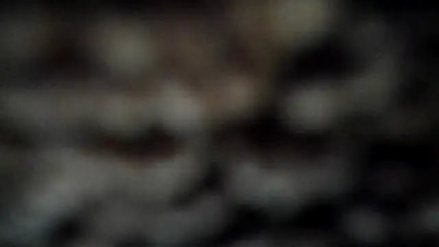 Snapshot of leatherz69 chatting on 03.07.25 leatherz69 online show from 03.07.25