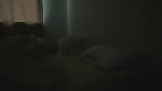 Diamond Tyler online show from 02.03.25