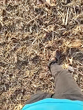 Snapshot of murokkk31 chatting on 09.30.25 murokkk31 online show from 09.30.25