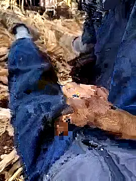 murokkk31 online show from 12.04.25