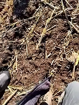 murokkk31 online show from 12.18.25