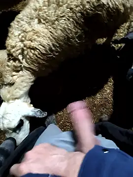 murokkk31 online show from 01.09.26