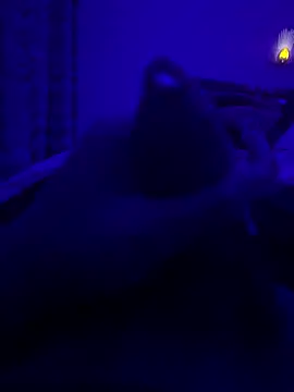 Snapshot of thecockybouy chatting on 03.02.25 thecockybouy online show from 03.02.25