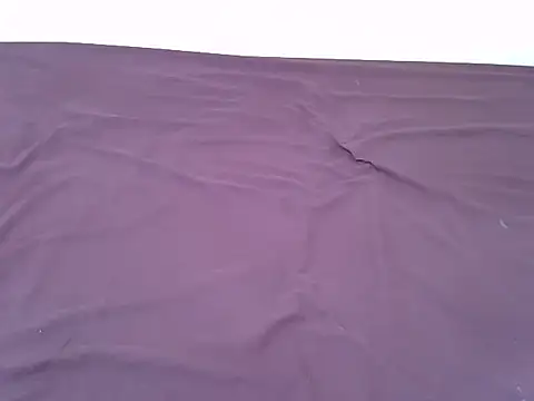 tasty piee online show from 11.07.25