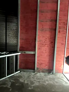 Snapshot of Hellen_111 chatting on 11.11.25 Hellen 111 online show from 11.11.25