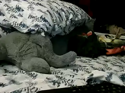 Snapshot of WHITEDAROSE chatting on 01.15.25 WHITEDAROSE online show from 01.15.25