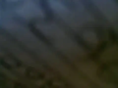 Snapshot of WHITEDAROSE chatting on 03.12.25 WHITEDAROSE online show from 03.12.25