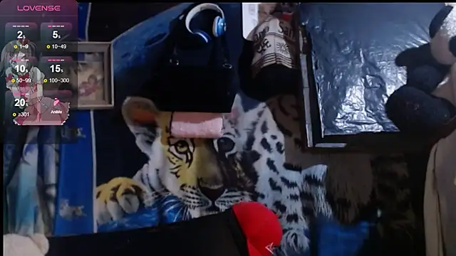 Snapshot of Alanagracia chatting on 11.12.25 Alanagracia online show from 11.12.25