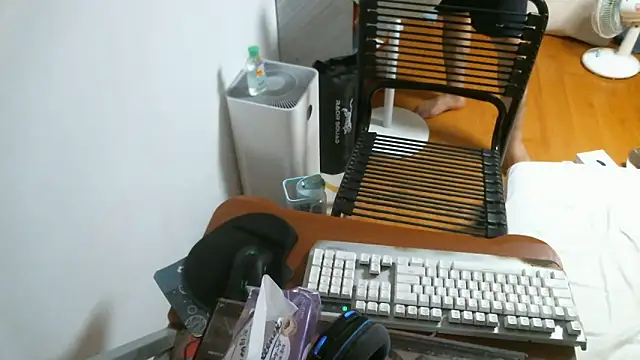 Snapshot of Stellan_0412 chatting on 02.13.26 Stellan 0412 online show from 02.13.26